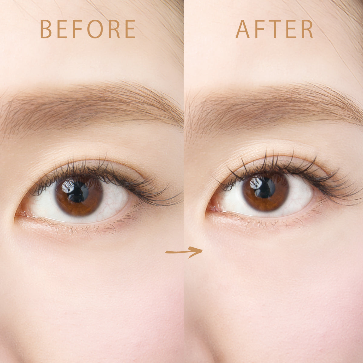 鳳凰眼睫毛支撐凝膠輕盈分離 8ml フェニックスアイ アイラッシュサポートジェル ライト&セパレート 8ml Phoenix Eye Eyelash Support Gel Light & Separate 8ml