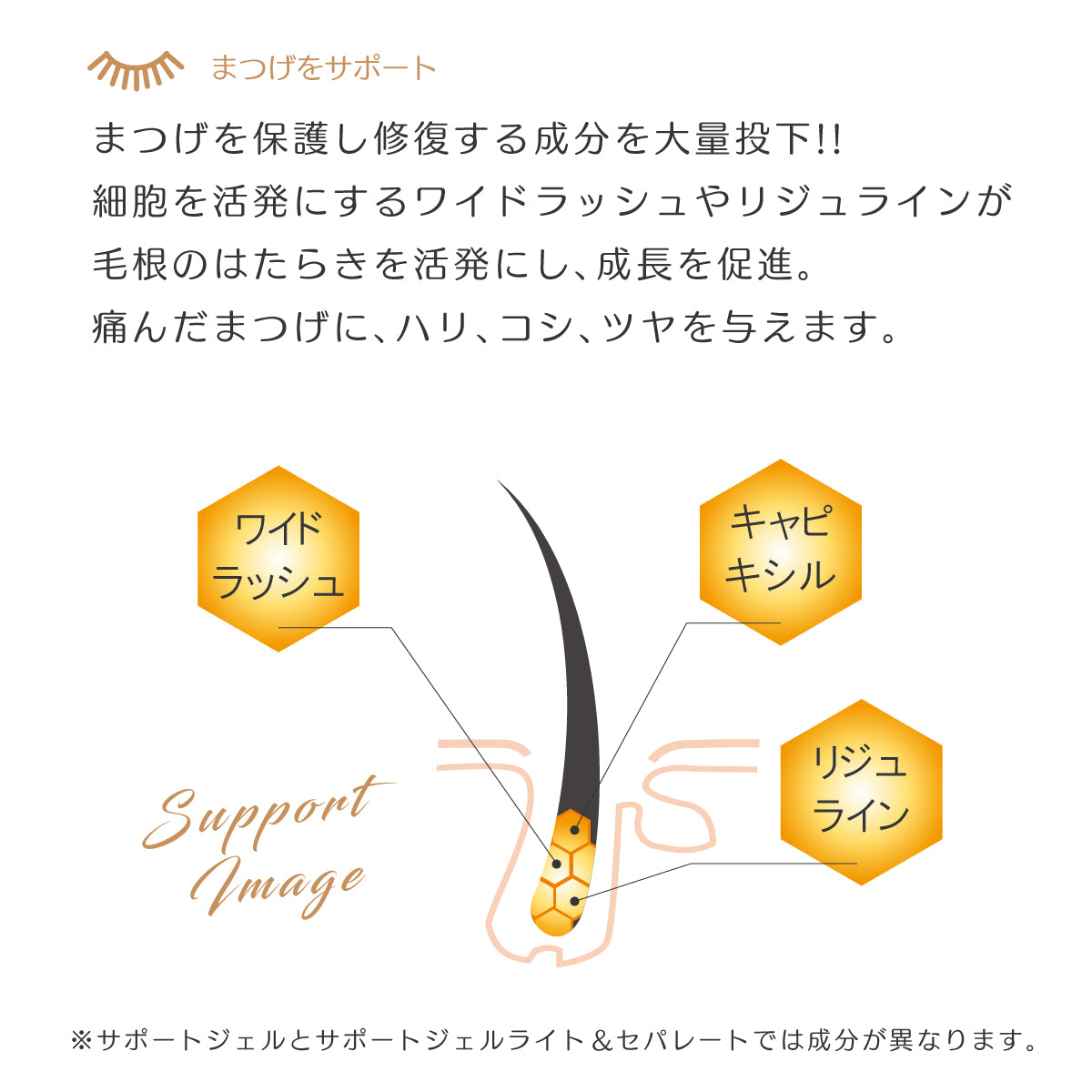 鳳凰眼 睫毛支撐凝膠 9ml
　PHENIX EYE  EYELASH SUPPORT GEL 9ml  フェニックスアイ　アイラッシュサポートジェル　9ml