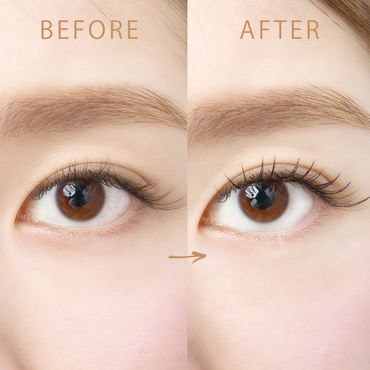 鳳凰眼 睫毛支撐凝膠 9ml
　PHENIX EYE  EYELASH SUPPORT GEL 9ml  フェニックスアイ　アイラッシュサポートジェル　9ml